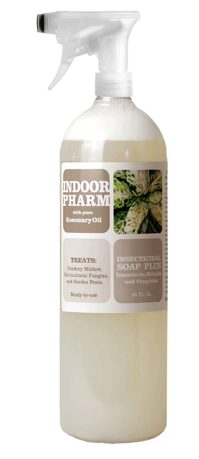 Indoor Pharm